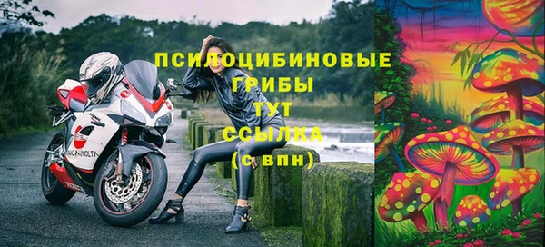 гашик Алексин