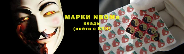 гашик Алексин