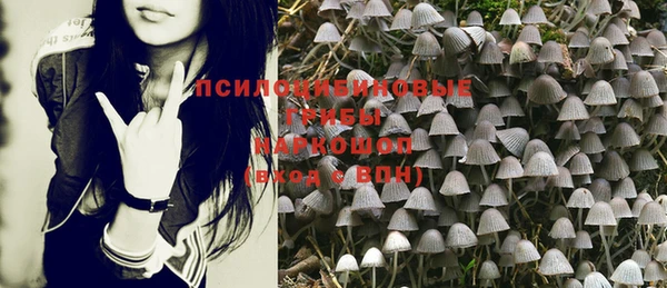 ПСИЛОЦИБИНОВЫЕ ГРИБЫ Алексеевка