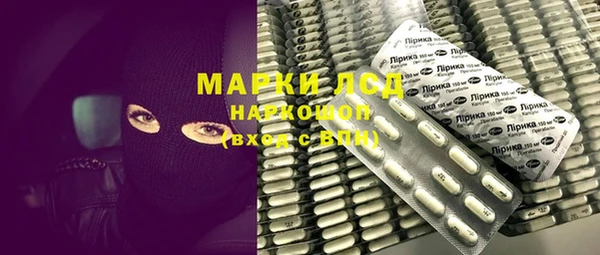 гашик Алексин