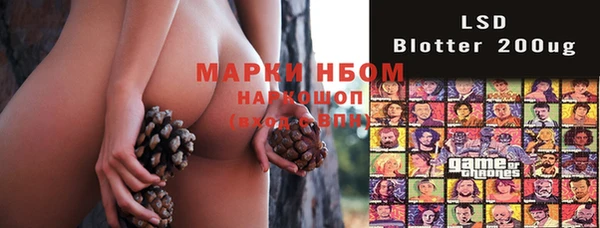 гашик Алексин