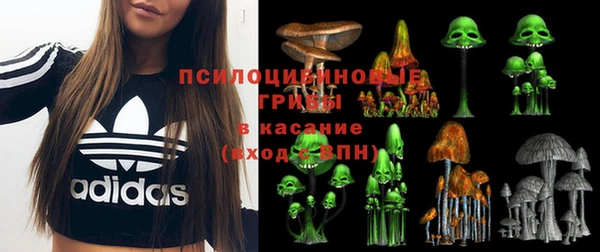 ПСИЛОЦИБИНОВЫЕ ГРИБЫ Алексеевка