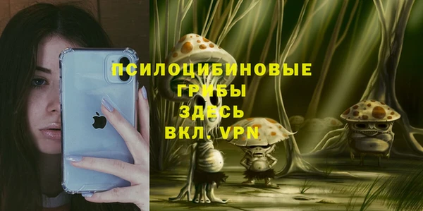 ПСИЛОЦИБИНОВЫЕ ГРИБЫ Алексеевка