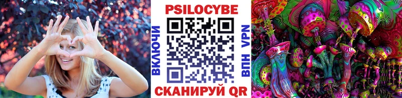 Галлюциногенные грибы Cubensis Пласт